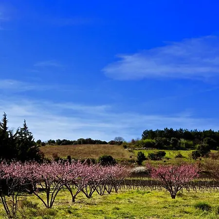 Maison De Margot Feriehus